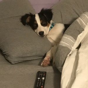 Meet your Posher, Erin